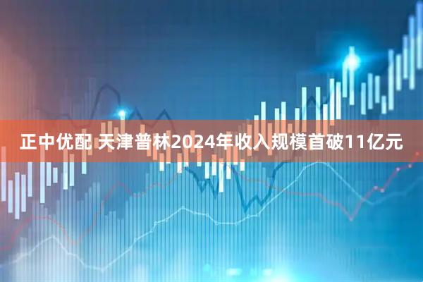 正中优配 天津普林2024年收入规模首破11亿元