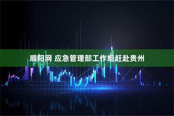 顺阳网 应急管理部工作组赶赴贵州