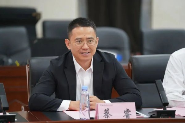 实倍网 蔡睿，进京履新