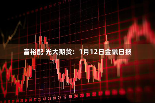 富裕配 光大期货：1月12日金融日报